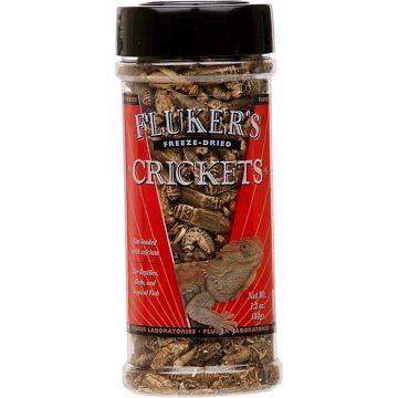 Picture of 1.2 OZ. FREEZE DRIED CRICKETS