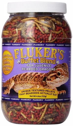 Picture of 5 OZ. BUFFET BLEND JUVENILE BEARDED DRAGON VEGGIE VARIETY