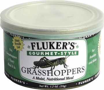 Picture of 1.2 OZ. GOURMET CANNED GRASSHOPPERS