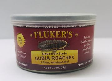 Picture of 1.2 OZ. GOURMET-STYLE CANNED DUBIA ROACHES