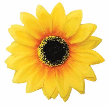 Picture of MED./LG. SUNFLOWER - YELLOW