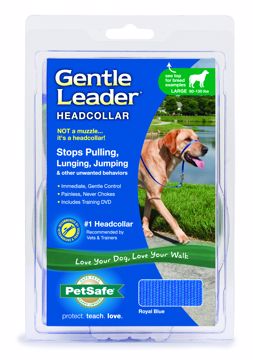 Picture of LG. GENTLE LEADER - ROYAL BLUE