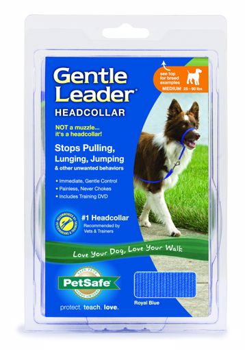 Picture of MED. GENTLE LEADER - ROYAL BLUE