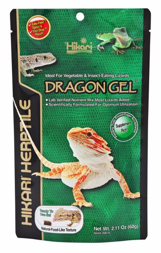 Picture of 2.11 OZ. DRAGONGEL BEARDED DRAGON PASTE DIET