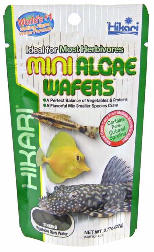 Picture of .77 OZ. MINI ALGAE WAFERS