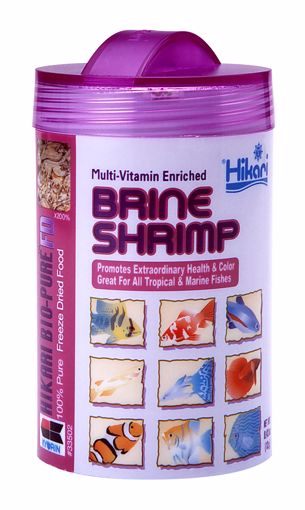 Picture of .42 OZ. FREEZE DRIED BRINE SHRIMP