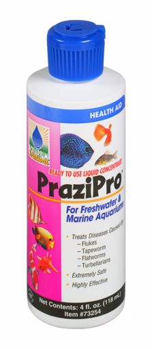 Picture of 4 OZ. PRAZI PRO PARASITE TREATMENT