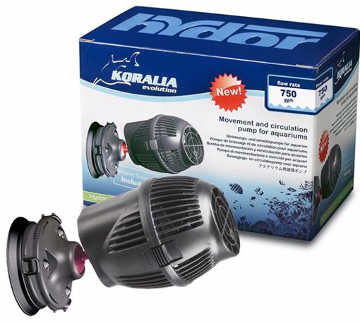 Picture of 850 GPH KORALIA EVOLUTION 4.5 W. PUMP - UL