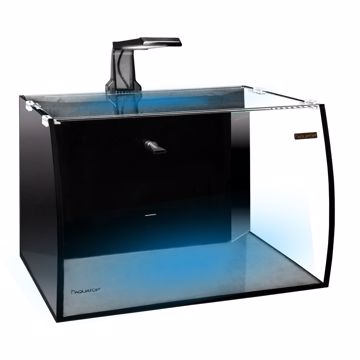 Picture of 8 GAL. BOWFRONT VERTICAL CURVED GLASS TANK KIT
