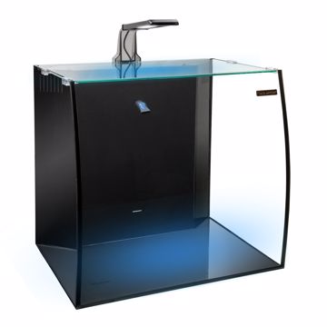 Picture of 13 GAL. BOWFRONT VERTICAL CURVED GLASS TANK KIT
