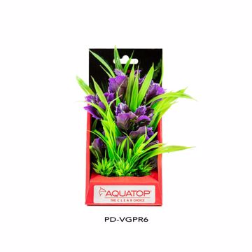 Picture of 6 IN. VIBRANT GARDEN PURPLE PLANT