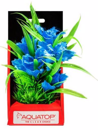 Picture of 6 IN. VIBRANT GARDEN BLUE PLANT