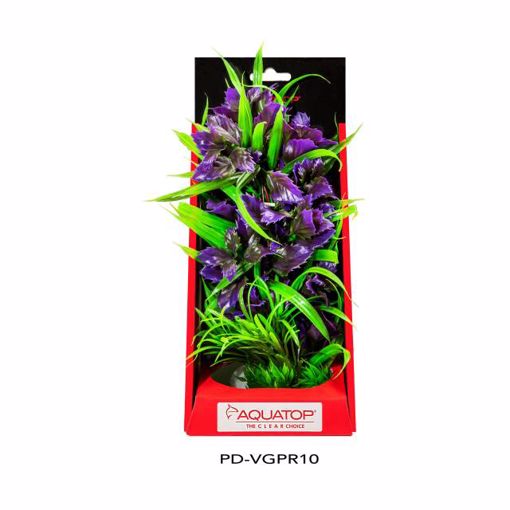 Picture of 10 IN. VIBRANT GARDEN PURPLE PLANT