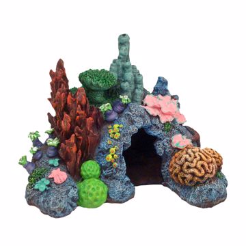 Picture of SM. CARIBBEAN REEF ORNAMENT