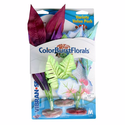 Picture of MED. VIBRAN-SEA COLOR BURST FLORALS - ASSORTED