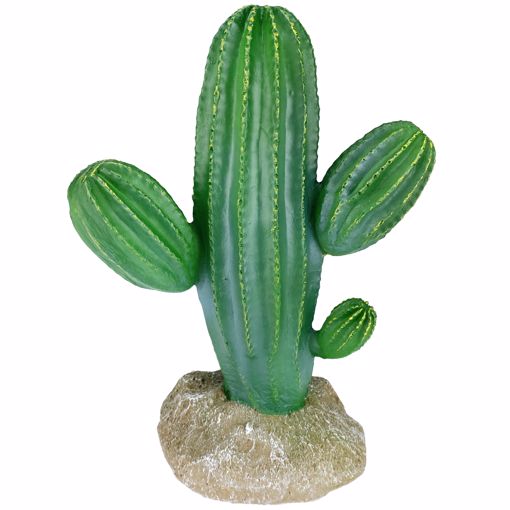 Picture of 9.5 IN. KOMODO CACTUS - SAGUARO