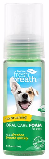 Picture of 4.5 OZ. FRESH BREATH ORAL CARE FRESH MINT FOAM