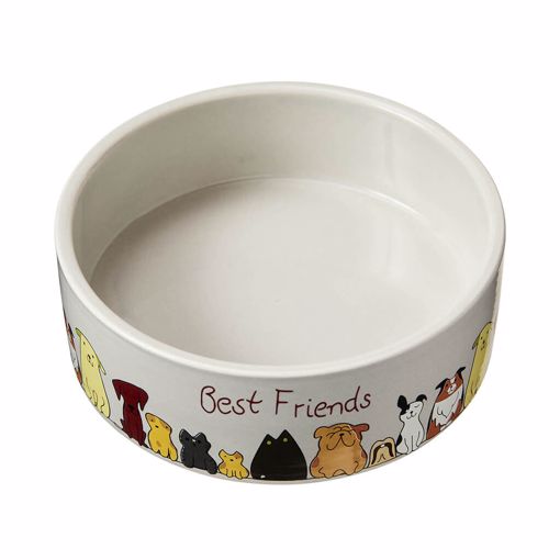 Picture of 5 IN. BEST FRIENDS DOG DISH