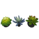 Picture of 3 PK. SUCCULENT - BLUE/GREEN