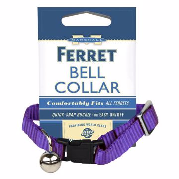 Picture of FERRET BELL COLLAR - PURPLE
