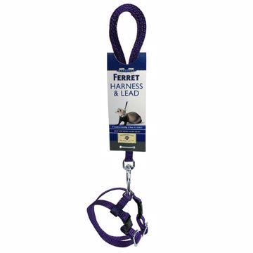 Picture of HARNESS  LEAD SET - PURPLE