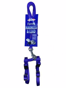 Picture of HARNESS  LEAD SET - ROYAL BL.