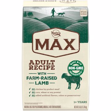 Picture of 25 LB. MAX ADULT DOG - LAMB