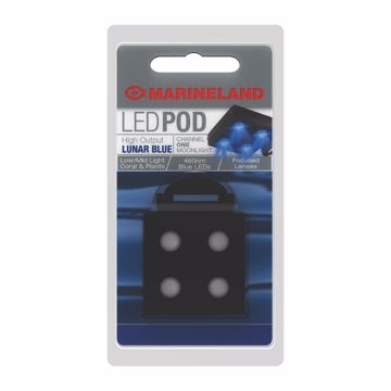 Picture of POD - HIGH OUTPUT BLUE