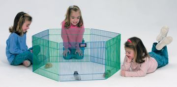 Picture of 15HX19W IN. SMALL PET PLAYPEN