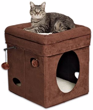 Picture of CURIOUS CAT CUBE - BROWN SUEDE