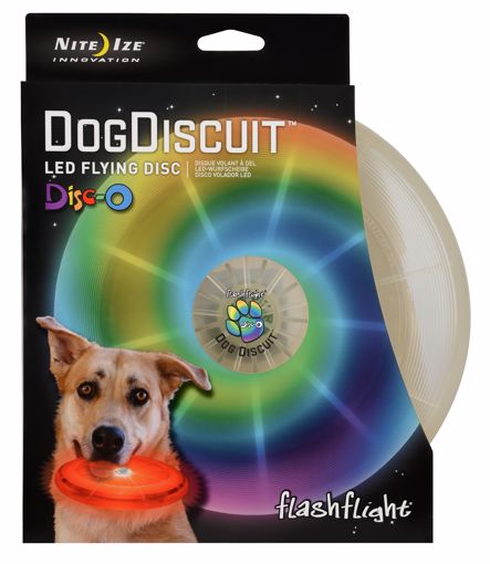 Picture of FLASHLIGHT DOG DISCUIT - DISCO