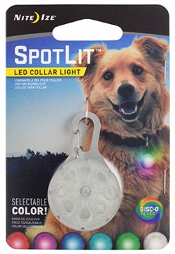 Picture of SPOTLIT - LED COLLAR LIGHT - DISCO SELECT