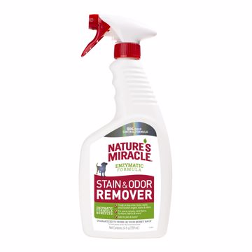 Picture of 24 OZ. STAIN & ODOR REMOVER - TRIGGER SPRAY