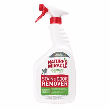 Picture of 32 OZ. STAIN & ODOR REMOVER - TRIGGER SPRAY