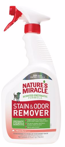 Picture of 32 OZ. STAIN & ODOR REMOVER - MELON BURST - TRIGGER SPRAY