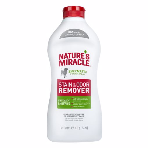 Picture of 32 OZ. STAIN & ODOR REMOVER - POUR