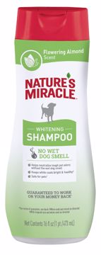 Picture of 16 OZ. WHITENING ODOR CONTROL SHAMPOO