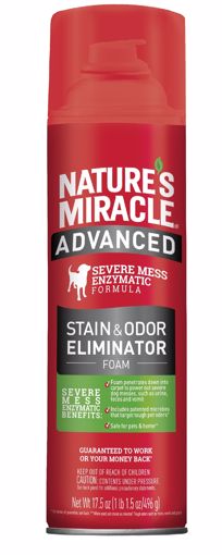 Picture of 17.5 OZ. ADVANCED STAIN & ODOR REMOVER - FOAM