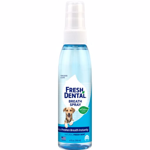 Picture of 4 OZ. FRESH DENTAL FRSH BREATH SPRAY