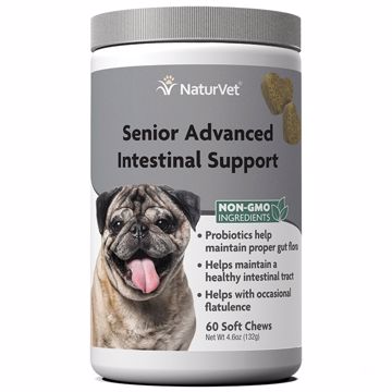 Picture of 60 CT. SENIOR INTESTINAL SUPPORT - SOFT CHEWS