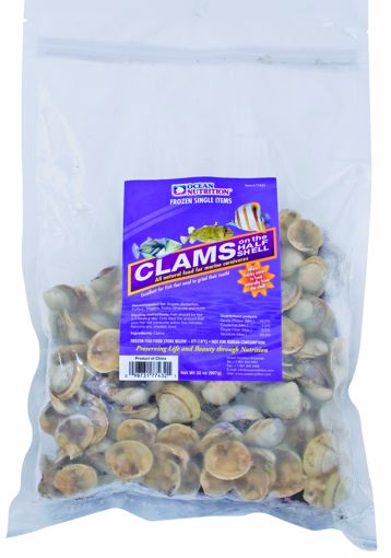 Picture of 2 LB. CLAMS ON THE HALF SHELL - FROZEN