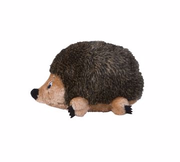 Picture of SM. HEDGEHOG