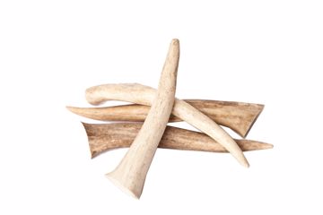 Picture of 5-6 IN. LARGE ELK ANTLER - HANGING RETAIL PACKAGE