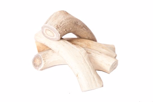 Picture of 6-7 IN. MONSTER ELK ANTLER - HANGING RETAIL PACKAGE