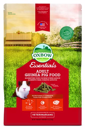 Picture of 5 LB. ESSENTIALS - ADULT GUINEA PIG (CAVY CUISINE)