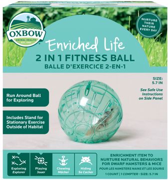 Picture of 2 IN 1 FITNESS BALL