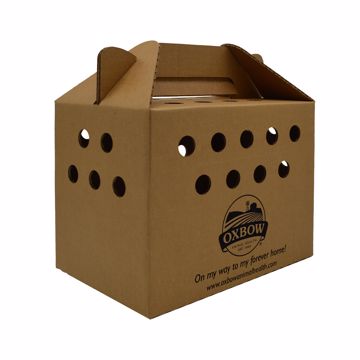 Picture of SMALL GOTCHA BOX