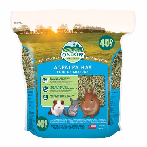 Picture of 40 OZ. ALFALFA HAY