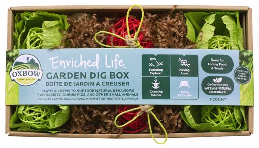 Picture of GARDEN DIG BOX