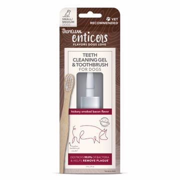 Picture of 2 OZ. ENTICERS TEETH GEL/TOOTHBRUSH - S/M DOG - HICK/BACON
